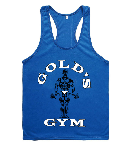 Camiseta sin mangas Golds Aesthetic Gym para hombre