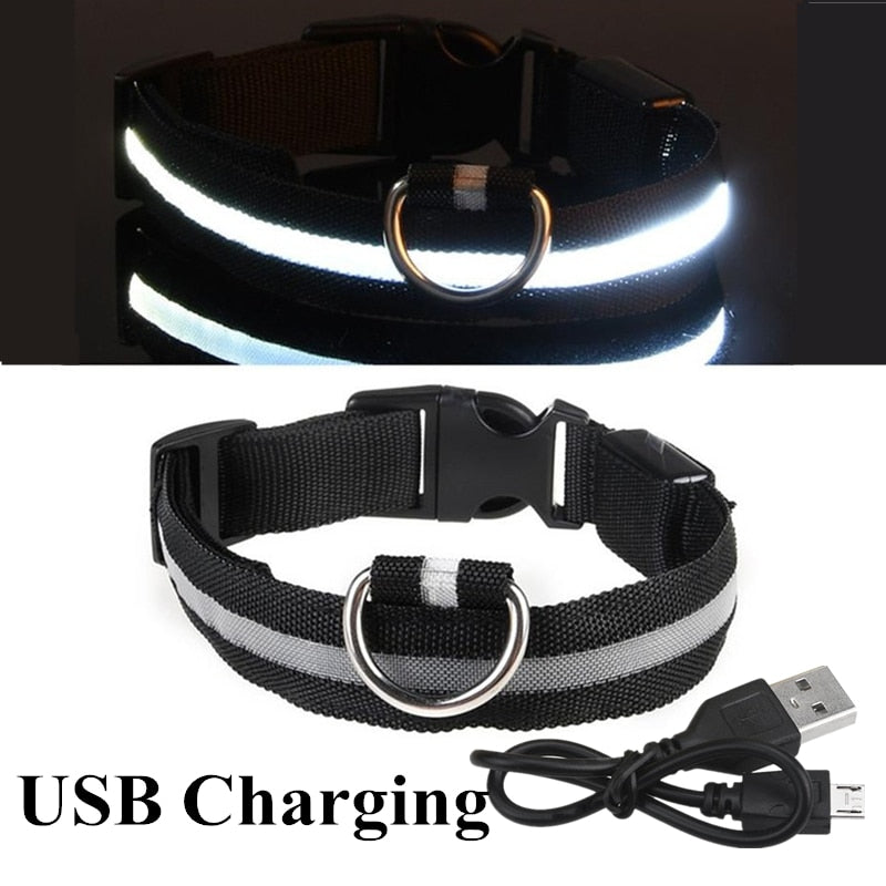 Collar ajustable para mascotas con LED brillante