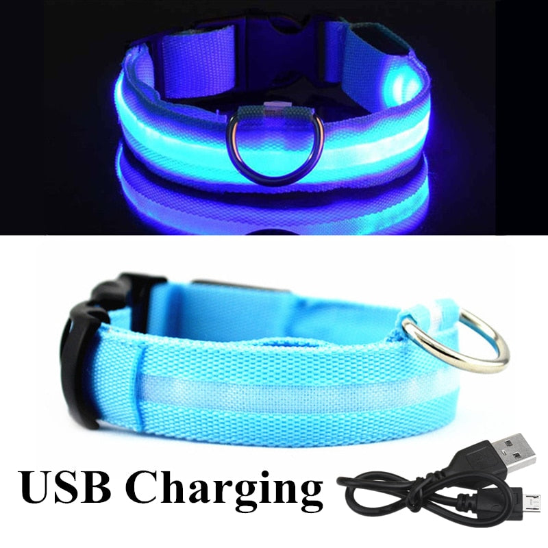 Collar ajustable para mascotas con LED brillante