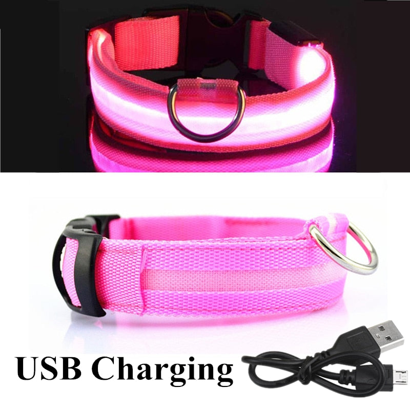 Collar ajustable para mascotas con LED brillante