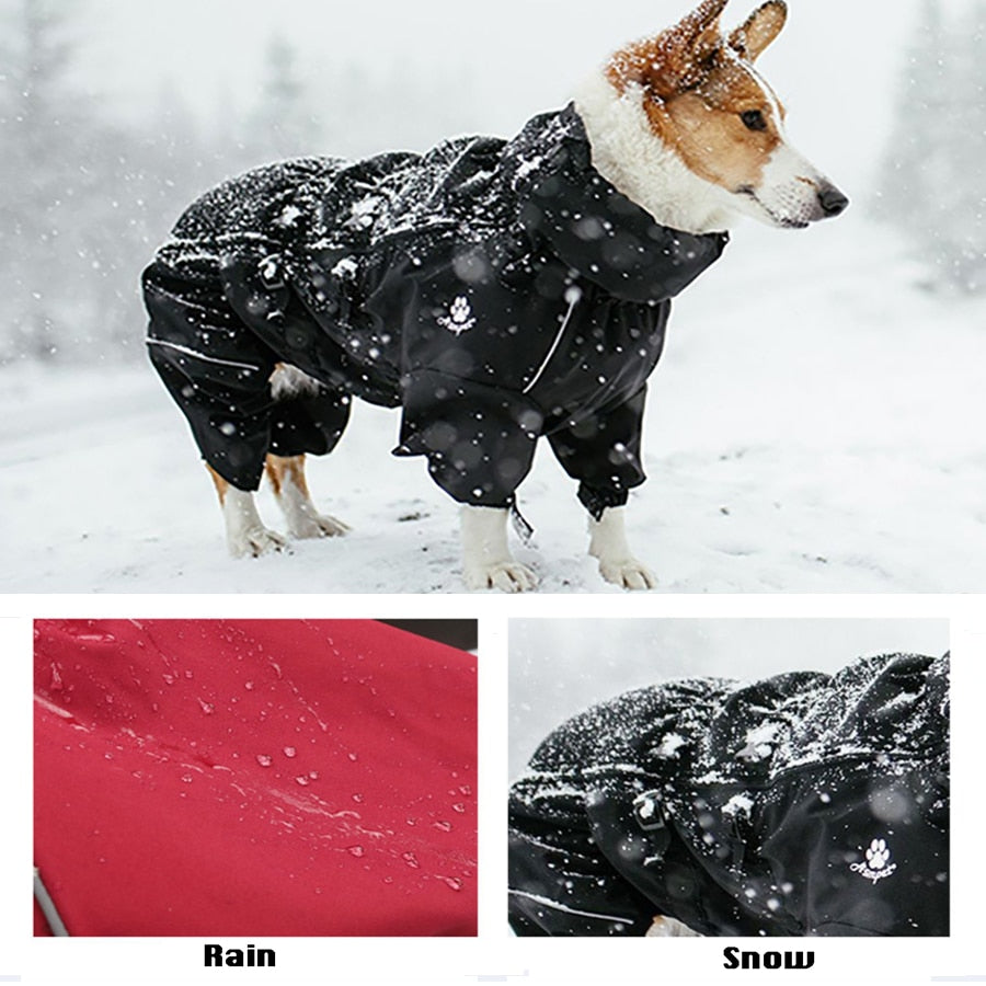 Abrigo para perro mascota impermeable al aire libre
