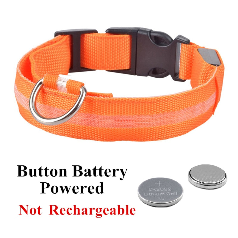 Collar ajustable para mascotas con LED brillante