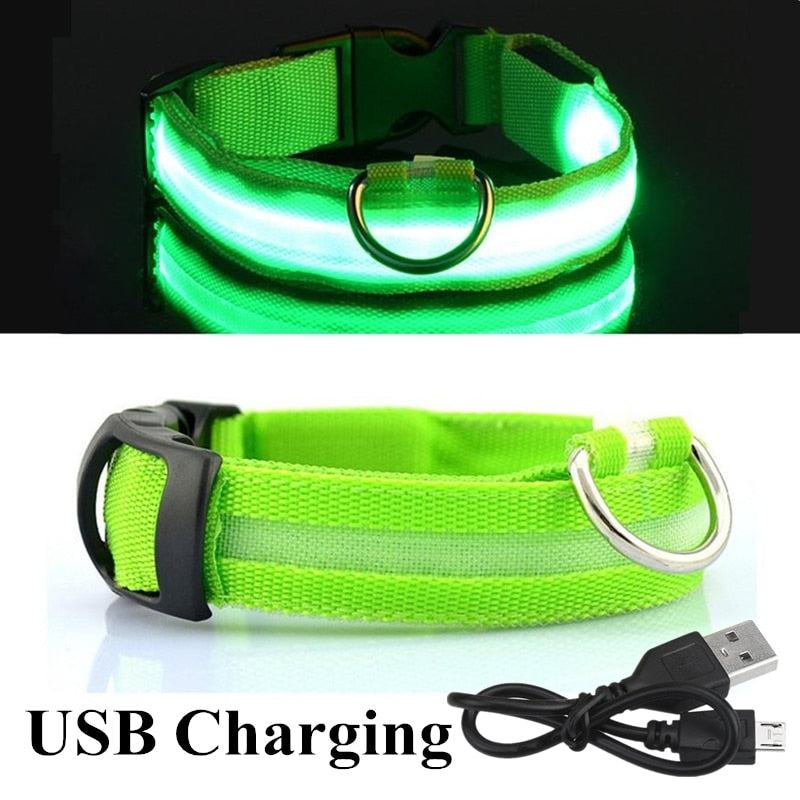 Collar ajustable para mascotas con LED brillante