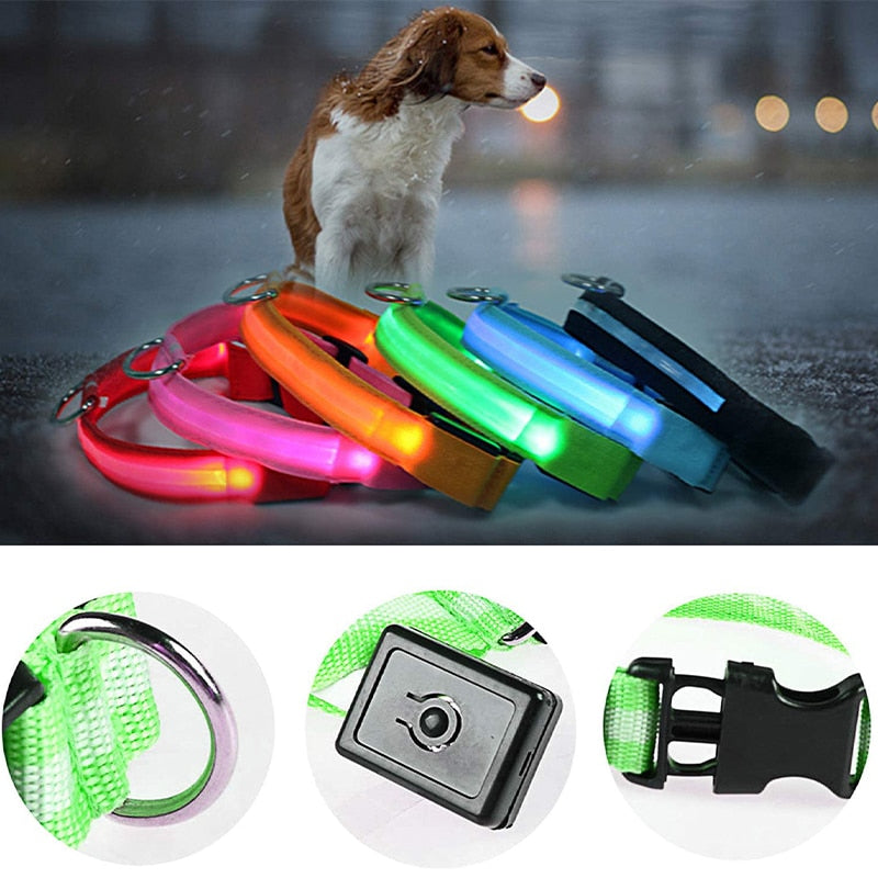 Collar ajustable para mascotas con LED brillante