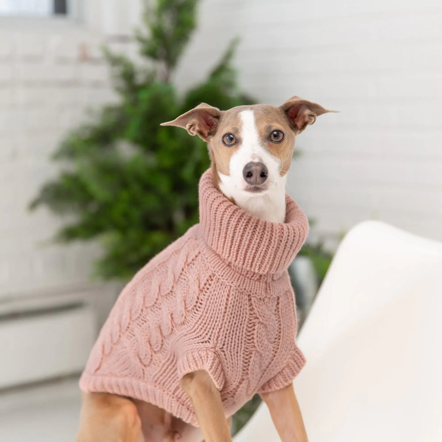 Suéter para mascotas Snuggly Chalet