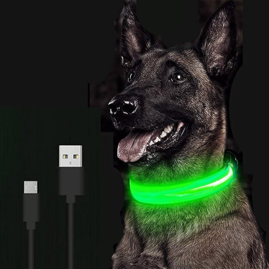 Collar ajustable para mascotas con LED brillante