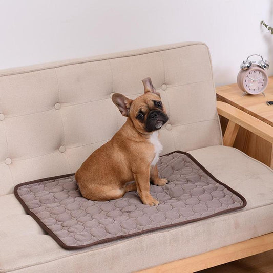 Manta de sofá transpirable para mascotas