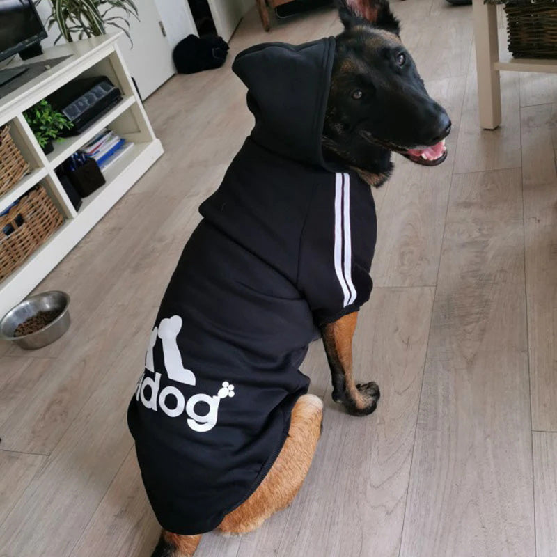 Sudadera para mascotas