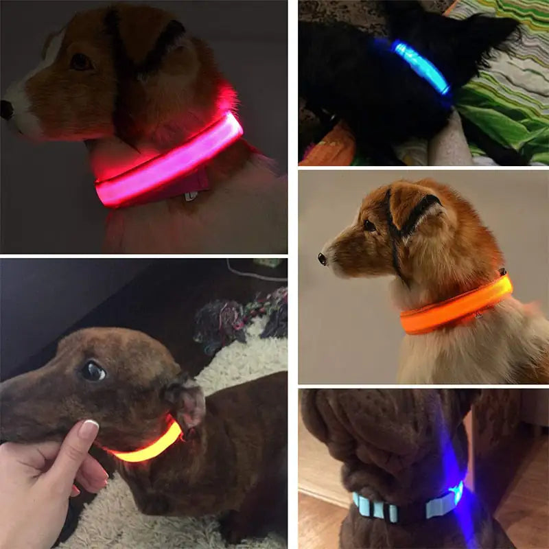 Collar de perro LED