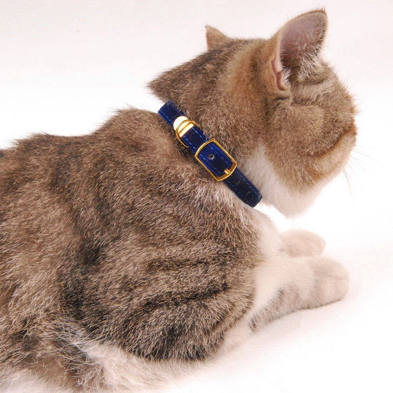 Collar For Cats Small Dogs Kittens